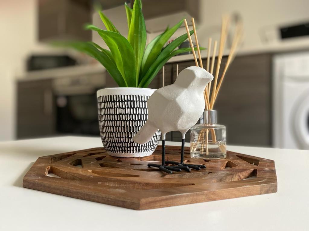 Northcote Apartments カーディフ エクステリア 写真